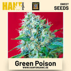 Green Poison Hanfsamen von Sweet Seeds