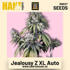 Jealousy Z XL Auto Hanfsamen von Sweet Seeds
