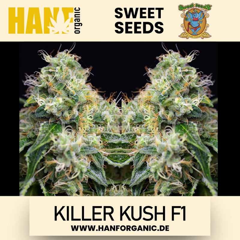 Sweet Seeds  - Killer Kush F1 Fem