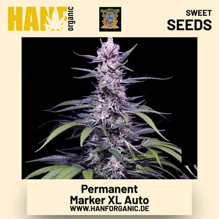 Permanent Marker XL Auto Hanfsamen von Sweet Seeds
