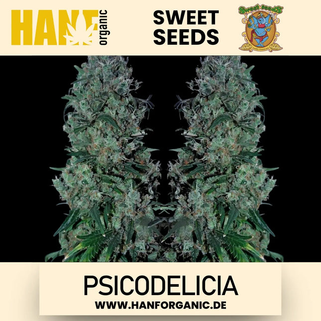 Sweet Seeds - Psicodelicia Fem