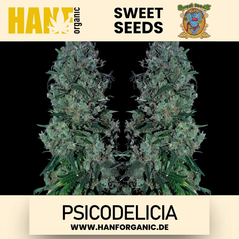 Sweet Seeds - Psicodelicia Fem