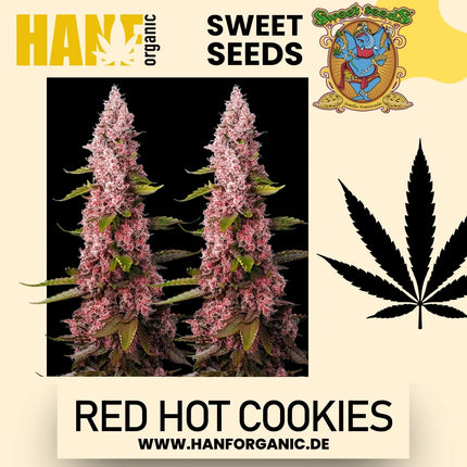 Sweet Seeds - Red Hot Cookies Fem