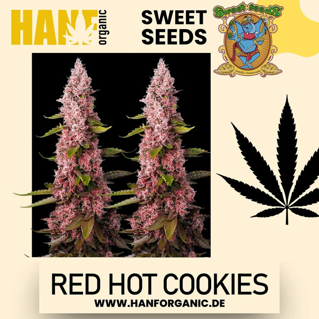 Sweet Seeds - Red Hot Cookies Fem