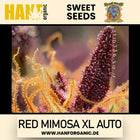 Sweet Seeds - Red Mimosa XL Auto