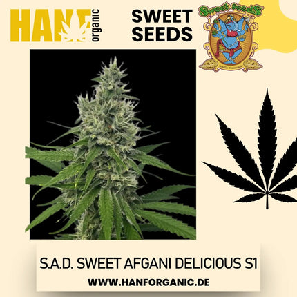 Sweet Seeds - S.A.D. Sweet Afgani Delicious S1