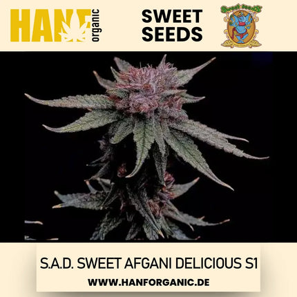 Sweet Seeds - S.A.D. Sweet Afgani Delicious S1