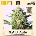 S.A.D. Auto Hanfsamen von Sweet Seeds