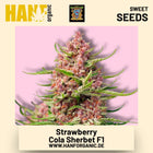 Strawberry Cola Sherbet F1 Hanfsamen von Sweet Seeds