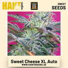 Sweet Cheese XL Auto Hanfsamen von Sweet Seeds