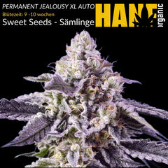 Permanent Jealousy XL Auto Sämlinge von Sweet Seeds