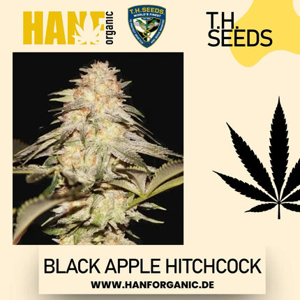 T.H. Seeds - Black Apple Hitchcock Fem