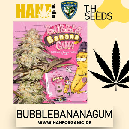 T.H. Seeds - BubbleBananaGum Fem