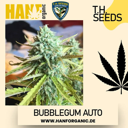 T.H. Seeds - Bubblegum Auto