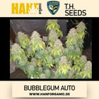 T.H. Seeds - Bubblegum Auto