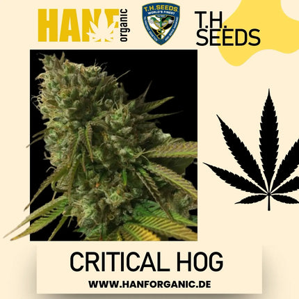 T.H. Seeds - Critical HOG Fem