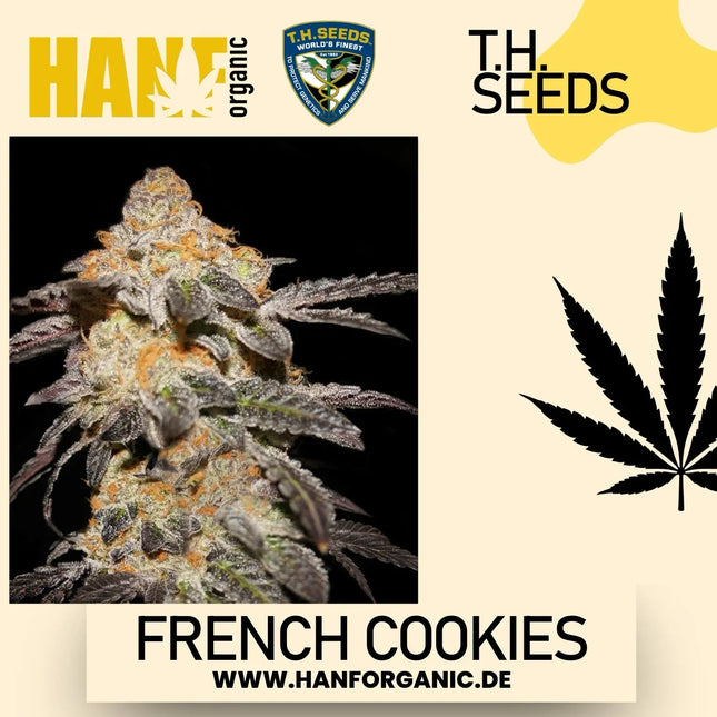 T.H. Seeds - French Cookies Fem