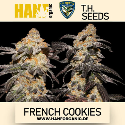 T.H. Seeds - French Cookies Fem