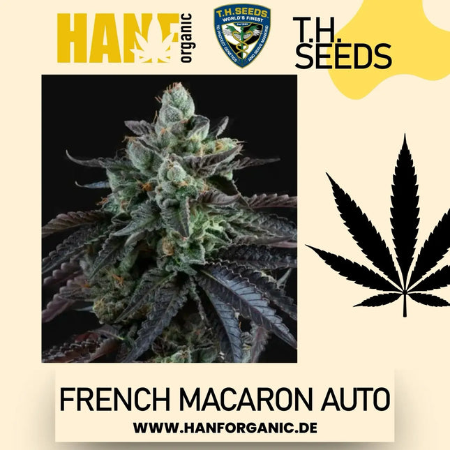 T.H. Seeds - French Macaron Auto