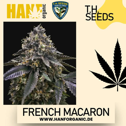 T.H. Seeds - French Macaron Fem