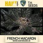 T.H. Seeds - French Macaron Fem