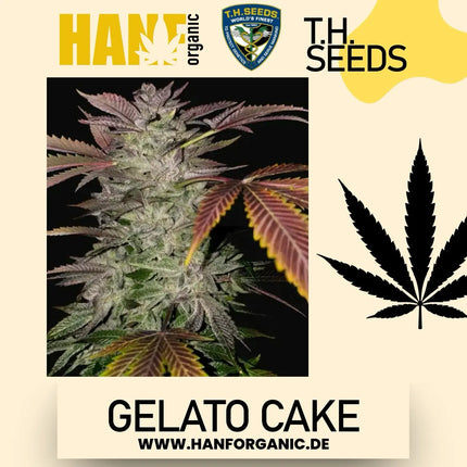 T.H. Seeds - Gelato Cake Fem