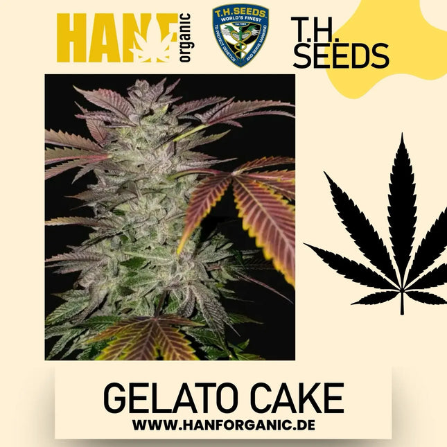 T.H. Seeds - Gelato Cake Fem