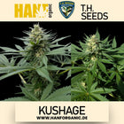 T.H. Seeds - Kushage Fem