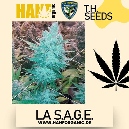 T.H. Seeds - LA S.A.G.E. Fem