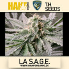 T.H. Seeds - LA S.A.G.E. Fem