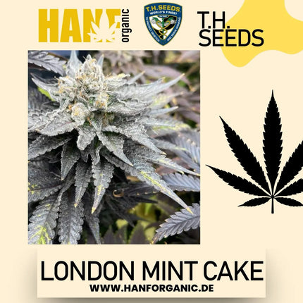 T.H. Seeds - London Mint Cake Fem