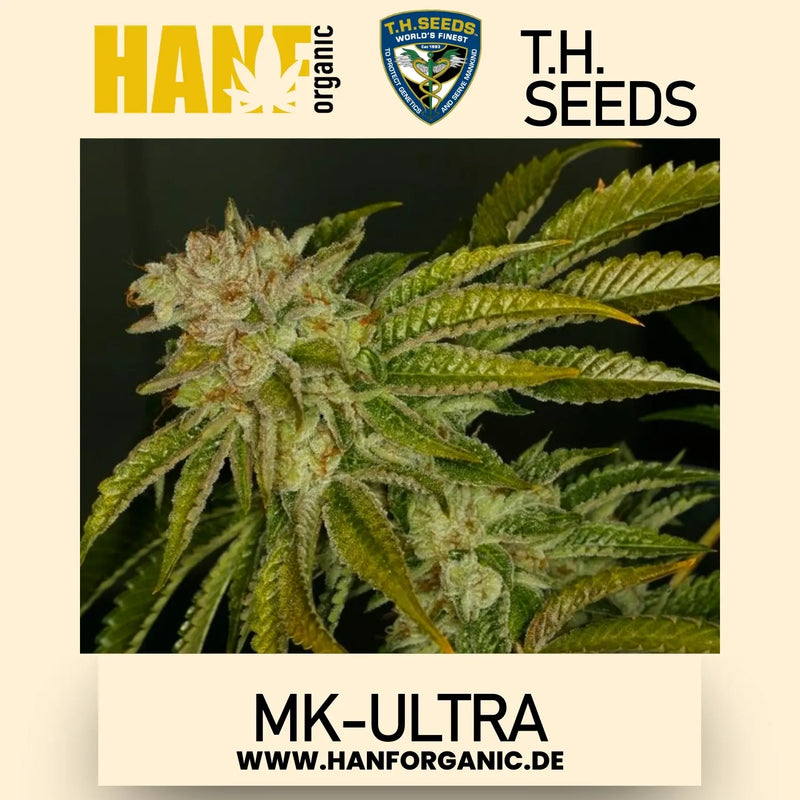 T.H. Seeds - MK-Ultra Fem