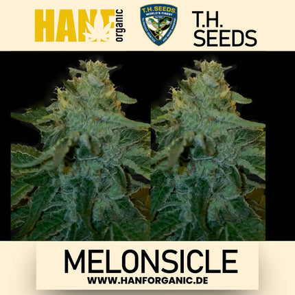 T.H. Seeds - Melonsicle Fem