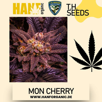 T.H. Seeds - Mon Cherry Fem