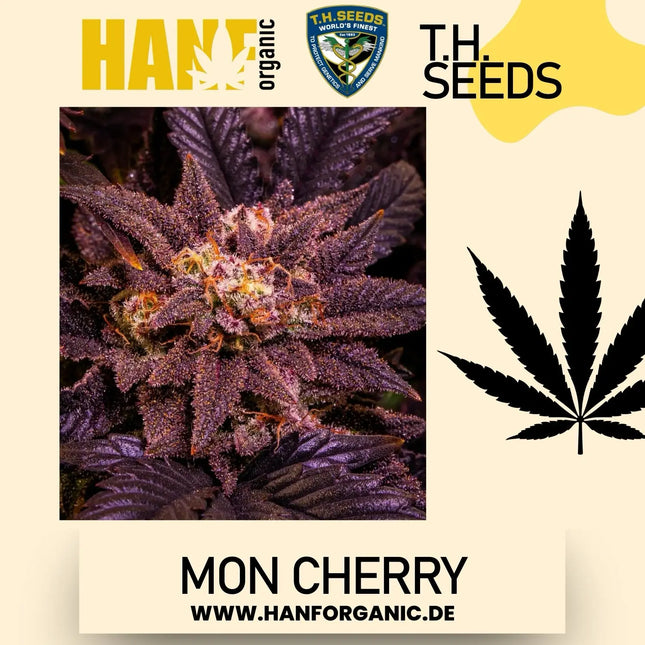 T.H. Seeds - Mon Cherry Fem