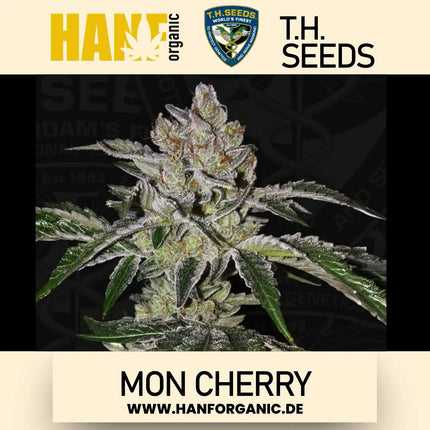 T.H. Seeds - Mon Cherry Fem