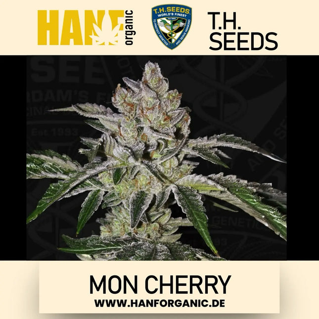 T.H. Seeds - Mon Cherry Fem