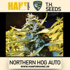 T.H. Seeds - Northern Hog Auto