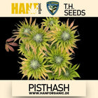 T.H. Seeds - Pisthash Fem