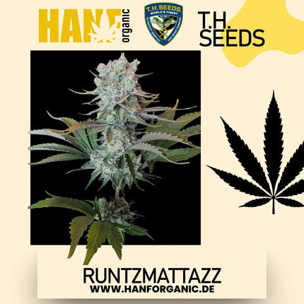 T.H. Seeds - RuntzMattazz Fem
