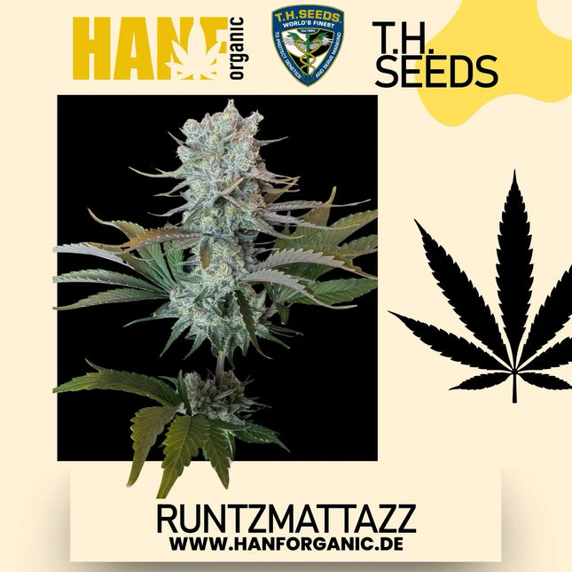 T.H. Seeds - RuntzMattazz Fem