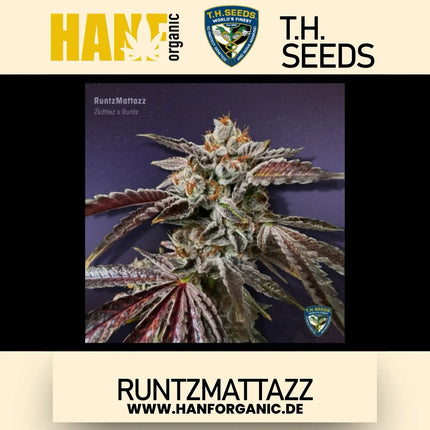 T.H. Seeds - RuntzMattazz Fem