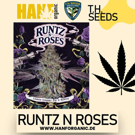 T.H.Seeds - Runtz N Roses Fem