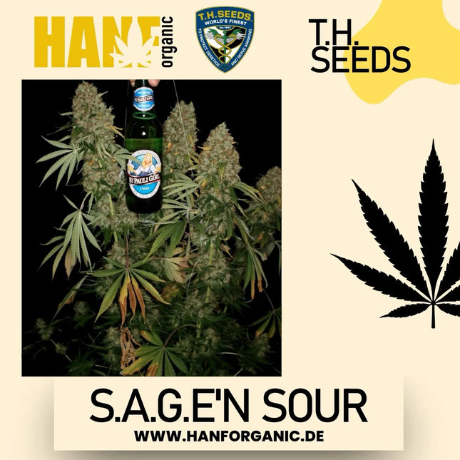 T.H. Seeds - S.A.G.E.’n Sour Fem