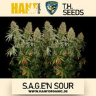 T.H. Seeds - S.A.G.E.’n Sour Fem