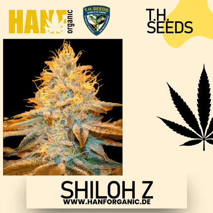 T.H. Seeds - Shiloh Z Fem