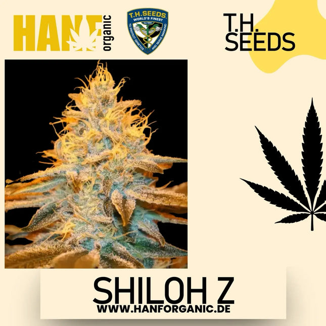 T.H. Seeds - Shiloh Z Fem