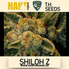 T.H. Seeds - Shiloh Z Fem