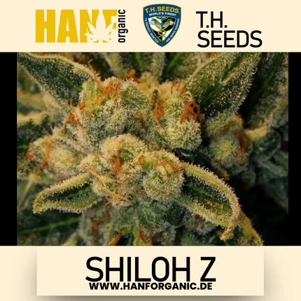 T.H. Seeds - Shiloh Z Fem