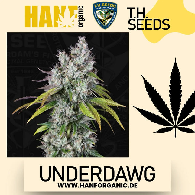 T.H. Seeds - UnderDawg Fem